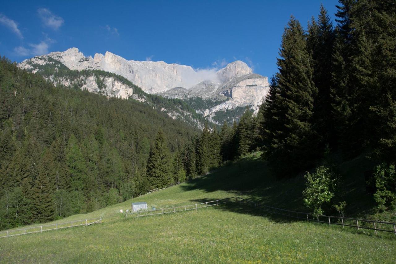 Ferienwohnung Sass Pordoi Mazzin Exterior foto